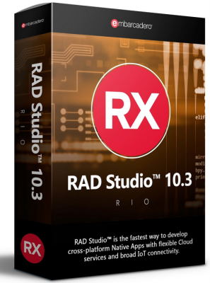 RAD Studio Professional Network Named License